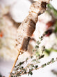 Chicken souvlaki kit
